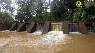Nature's Rejuvenation: Mesmerizing Anicut After Heavy Rainfall ️