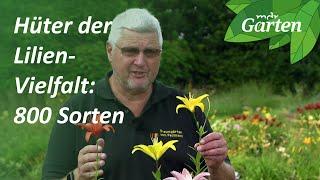 Hüter der Vielfalt: 800 verschiedene Liliensorten | MDR Garten