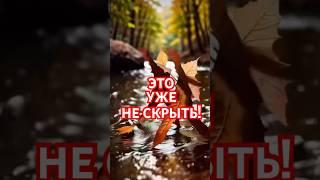  Под эту песню все опавшие листья встают и сами собираются в кучу!  #прикол #прикольноевидео