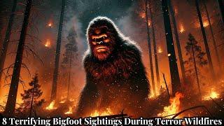 8 Terrifying Stories About Bigfoot Sightings During Wildfires That Will Leave You Disturbed