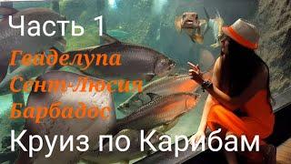 Круиз по Карибам. Часть 1-пляжно-ленивая. Гваделупа, Сент-Люсия, Барбадос