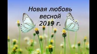 Общий расклад. Новая любовь весной 2019 г.