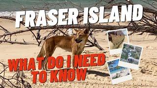 HOW TO EXPLORE FRASER ISLAND For Beginners | 10 Tips You Need To Know | DINGOES | 4X4 | CAMPING