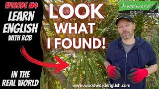 LOOK what I found   Learn English in the Real World with Rob Woodward – Episode 4