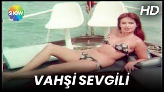 Vahşi Sevgili | Tek Parça Full HD (Selçuk Özer & Müjde Ar)