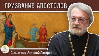 ПРИЗВАНИЕ  АПОСТОЛОВ. Священник Антоний Лакирев. Воскресное Евангелие