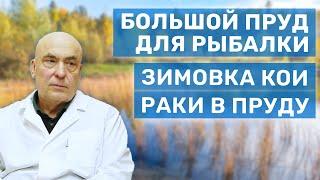 Ихтиопатолог про большой пруд для спортивной рыбалки, раки и кислород, болезни рыб