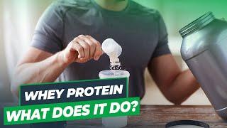 What Is Whey And What Does It Do? | Top Trainer |