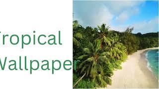 Tropical Wallpaper