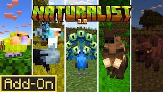 All NEW Animals in Naturalist 3.0 Update | Minecraft Bedrock Add-on (PC, PS4, Mobile)