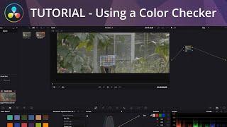 DaVinci Resolve Tutorial - Using a Color Checker