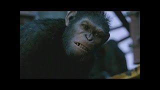 Caesar vs Koba Final Fight (Part 2) | Dawn of the Planet of the Apes (2014)#LOWI