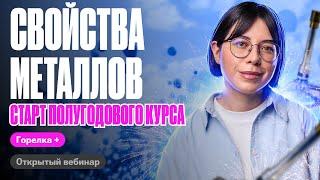 Свойства металлов. Первый урок курса "Горелка+" 2024 | ЕГЭ по химии | Катя Строганова