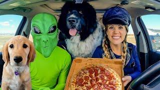 Police and Puppy Surprised by Alien Car Ride Chase!