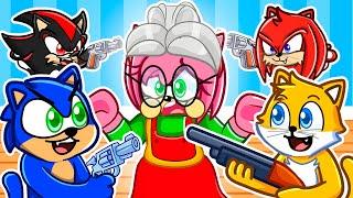 Sonic Plays Cat Vs Grandma in Roblox...