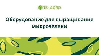 Какое оборудование необходимо для выращивания микрозелени?