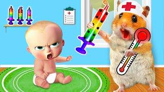 Hamster Pretend A Doctor Check Up Bro Got Sick & escape Amazing Maze Challenge | Life Of Pets HamHam