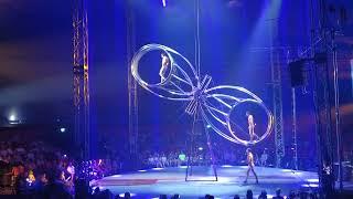 Wheel of Death CIRCUS EXTREME #circus #wheelofdeath #circusextreme