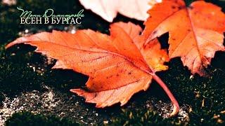 Тони Димитрова - Есен в Бургас