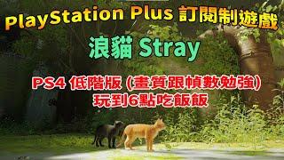 舊直播 PS4遊戲 浪貓Stray 01~07 前期攻略流程→詳參時間目錄:門鎖密碼,電子鎖秘碼