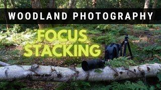 WOODLAND MACRO Photography - FOCUS BRACKETING With The SONY A7C II