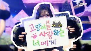 '최초 공개' 이영지 - My Cat #엠카운트다운 EP.853 | Mnet 240718 방송