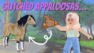 The Glitched Appaloosa Situation - What’s Going On? | Wild Horse Islands