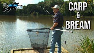 Bream and Carp Fishing Tips | TAFishing