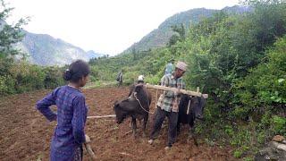 Rural Nepal & natural an old way of farming || rural Nepal @ruralnepall