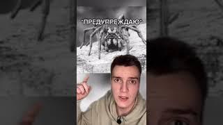 ЖУТКОЕ НАПАДЕНИЕ ПАУКА (не смотреть)