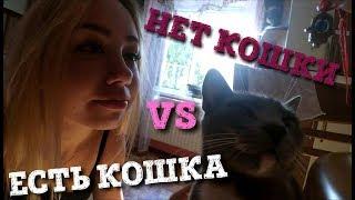 НЕТ КОШКИ vs ЕСТЬ КОШКА leravlasenko