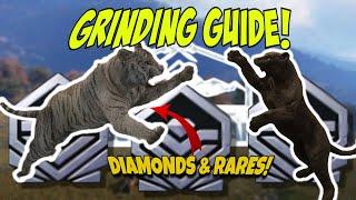 Official TIGER GRINDING GUIDE For SUNDARPATAN! Call Of The Wild