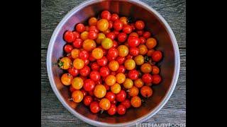 Quick Easy Way to make Sun Dried Tomatoes