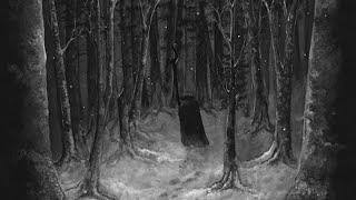 Paysage D'Hiver - Im Wald (Full Album) Ambient / Atmospheric Black Metal