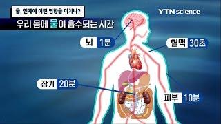 물, 인체에 어떤 영향을 미치나? / YTN 사이언스