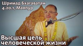 2013.03.13 - ШБ 4.20.1 - Высшая цель человеческой жизни (Маяпур) - Бхакти Вигьяна Госвами