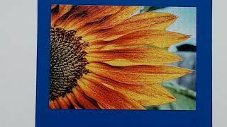 The Sunflower Jigsaw Puzzle Time Lapse by Addicted 2 Puzzles