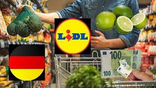 Lidl Grocery shopping  at Lidl supermarket with prices in Germany 