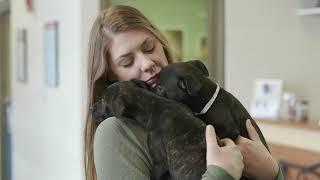 Tails Humane Society Impact Video 2019