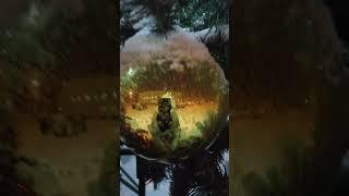 Коротчаево Новый Уренгой