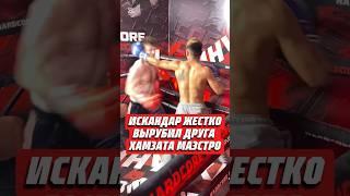 ИСКАНДАР ЖЕСТКО ВЫРУБИЛ ДРУГА ХАМЗАТА МАЭСТРО @HardcoreFightingChampionship #нокаут #кулачка