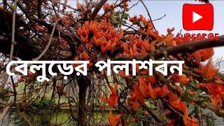 বেলুড় ইএসআই হাসপাতালের কাছের পলাশের বাগান | Belur ESI Hospital Palash Garden 2025 | #polash #spring