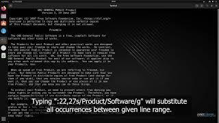 Vim Substitution