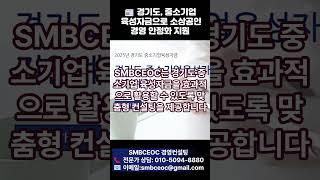  경기도, 중소기업 육성자금으로 소상공인경영 안정화 지원