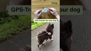 Unboxing and testing Lildog GPS-tracker #lildog