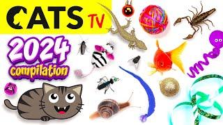 CAT TV  2024 Ultimate Compilation  Best games for cats in 4K