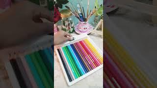 Unboxing Doms 24 shades coloured pencils #shorts #viralvideo #ART