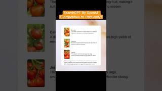 SearchGPT by OpenAI (Competition to Perplexity) #gpt #openai #artificialintelligence #automation #ai