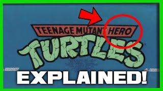 Teenage Mutant HERO Turtles EXPLAINED!