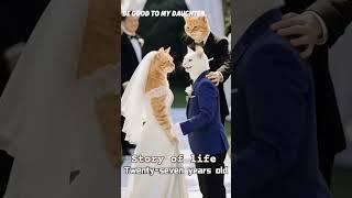 Story Of Life Cats #trending #youtubeshorts #cats #catshorts